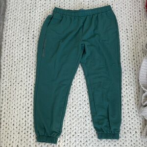 DSG Teal Jogger SweatPants